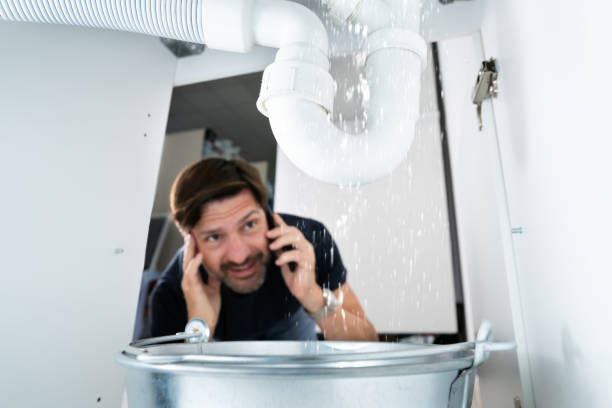 Best Drain Cleaning Services  in St Johns, AZ